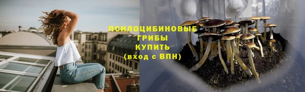 молекула духа Абдулино